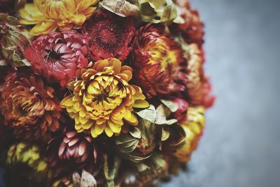 Close-up of flowers