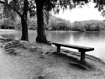 Bench in park by lake