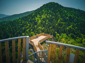 Built structure by trees in forest