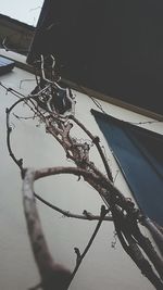 View of built structure