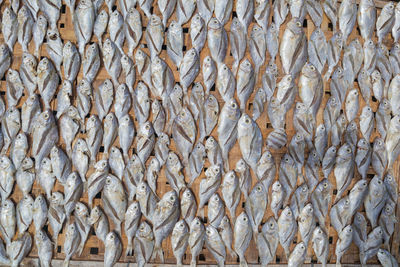 Full frame shot of fish for sale