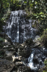 Scenic view of waterfall in forest