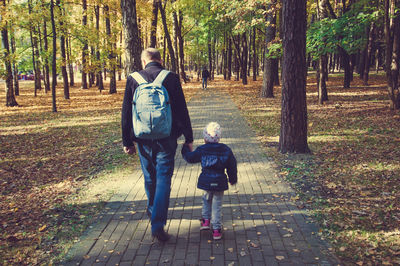 Rear view of friends walking on footpath amidst trees