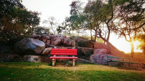 Empty bench in park