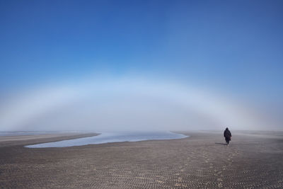 Rear view of man on beach against sky