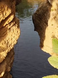 Scenic view of rocks in water