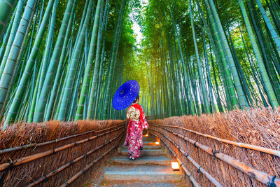 Rear view of woman walking on bamboo amidst plants in forest
