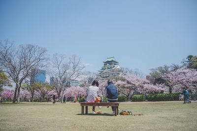 Rear view of couple sitting in park against clear sky