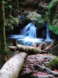 Scenic view of waterfall