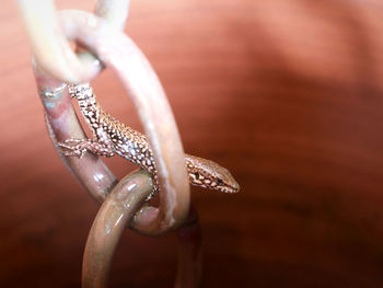 Close-up of human hand holding metal