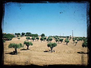 People on landscape