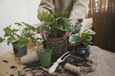 Woman planting flowers