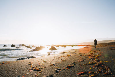 Man standing on beach against clear sky