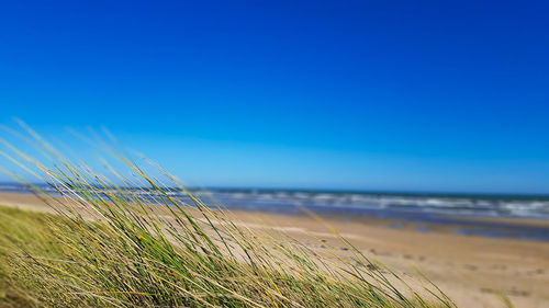 Scenic view of sea against clear blue sky