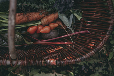 High angle view of vegetables in basket