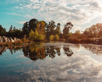 Reflection of trees in lake against sky