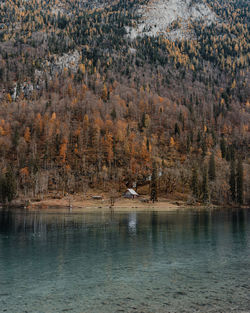 Scenic view of lake by trees during autumn