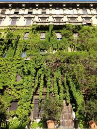 High angle view of trees outside building