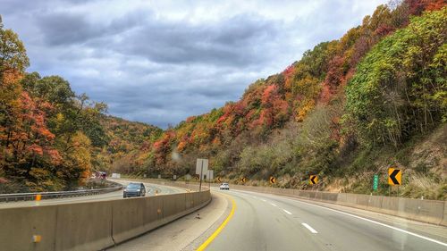 Road by trees against sky during autumn