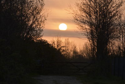 Silhouette trees against sky during sunset
