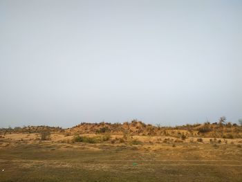 Scenic view of field against clear sky