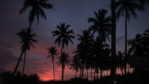 Silhouette palm trees against sky during sunset