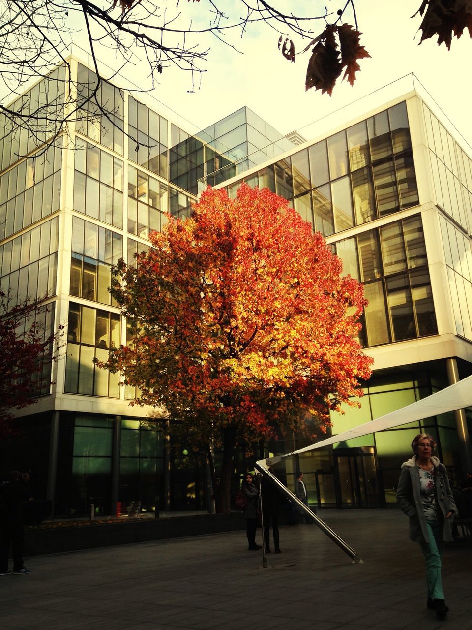 building exterior, architecture, built structure, men, city, lifestyles, walking, person, city life, leisure activity, tree, street, full length, building, autumn, large group of people, day, medium group of people