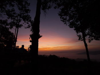 Silhouette trees against sky at sunset