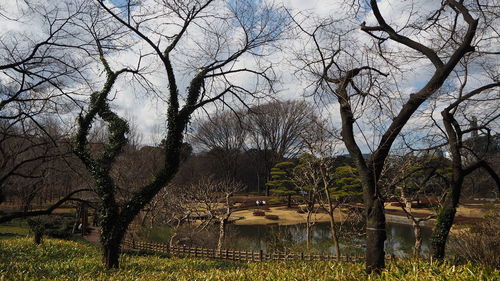 Bare trees on field against sky