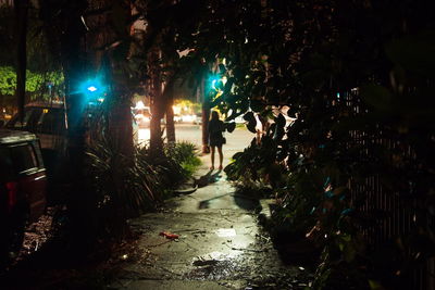 Illuminated footpath at night