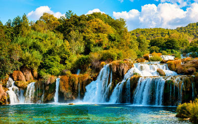 Scenic view of waterfall in forest