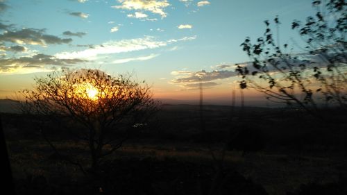 Silhouette trees on field against sky during sunset