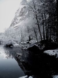 Reflection of trees in lake