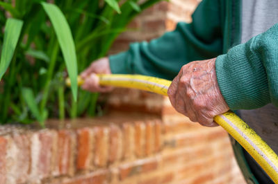 Cropped hand of man working at farm