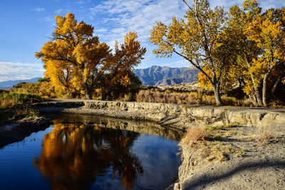 Autumn leaves on trees reflected in flowing river water