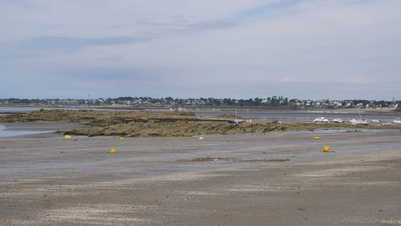 SCENIC VIEW OF BEACH