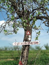 Information sign on tree trunk against sky