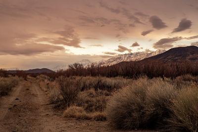 Scenic view of field against sky during sunset