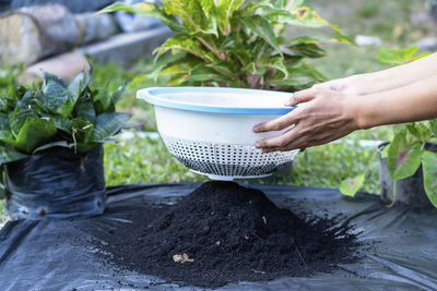 Cropped hand of person holding potted plant