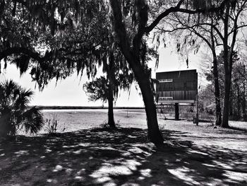 Bare trees against sky