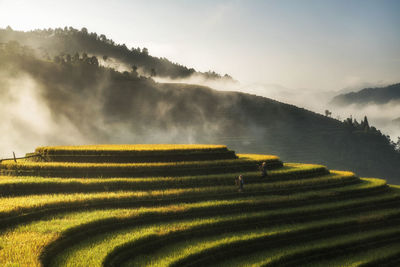 Panoramic view of agricultural field against sky