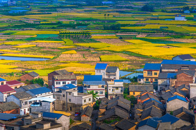 High angle view of houses against agricultural field