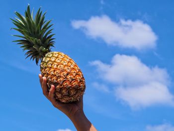 Person holding apple against sky