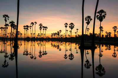 Beautiful sunset reflection of silhouettes palm tree , landscape  thailand