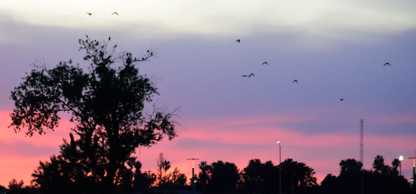 Low angle view of silhouette trees against sky at sunset