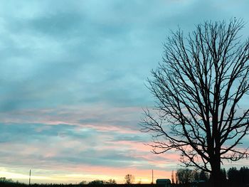 Low angle view of bare tree against sky