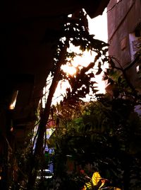 Low angle view of illuminated street light at night