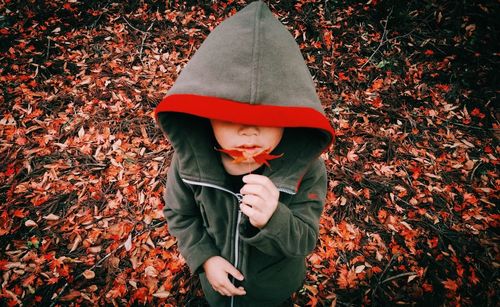 Low section of boy standing by maple leaves during autumn