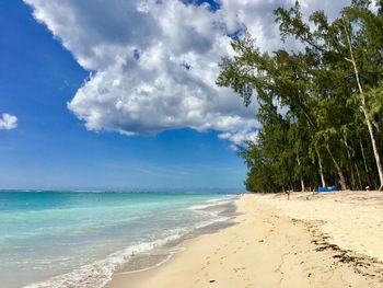 Scenic view of beach against sky