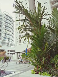 Street amidst trees and buildings in city